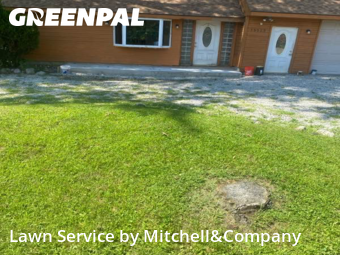 Lawn Services in Livonia, 48154, Yard Care by Mitchell&Company, work completed in Nov , 2025