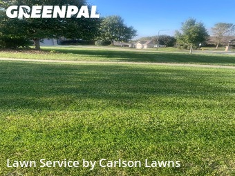 Yard Cutting nearby Gretna, NE, 