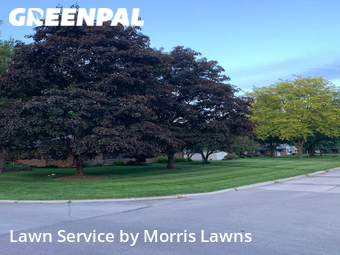 Lawn Care Service nearby Toledo, OH, 