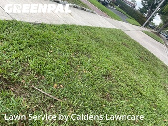 Lawn Mowing nearby Miramar, FL, 