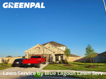 Grass Cuttingin Rosenberg,77471,Lawn Mowing Service by Blue Lagoon Lawn Serv, work completed in Nov , 2025