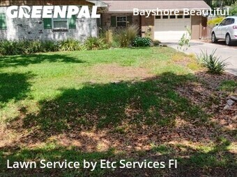 Lawn Cut nearby Tampa, FL, 