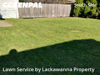 Grass Cutting nearby Scranton, PA, 