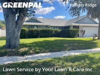 Grass Cut nearby Kissimmee, FL, 