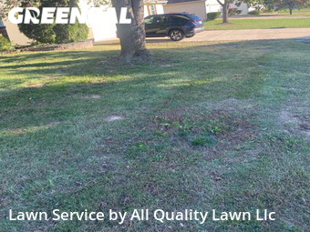 Lawn Maintenance nearby St. Peters, MO, 