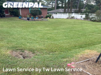 Yard Work in Macon, 31204, Lawn Upkeep by Tw Lawn Service, work completed in Nov , 2025