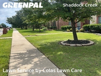 Grass Cutting nearby Frisco, TX, 