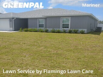 Lawn Cut nearby Cape Coral, FL, 