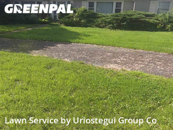 Grass Cutting nearby Northbrook, IL, 