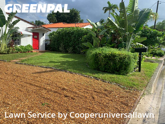 Lawn Cut nearby Surfside, FL, 