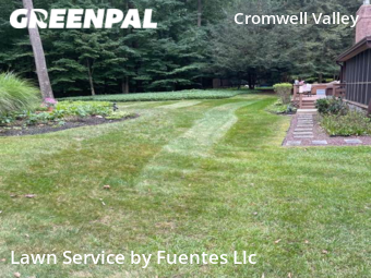 Lawn Cut nearby Towson, MD, 