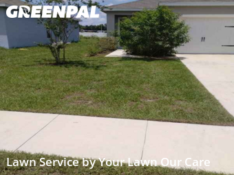 Lawn Care nearby Winter Haven, FL, 