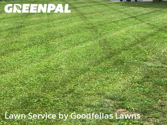 Yard Mowing nearby Omaha, NE, 