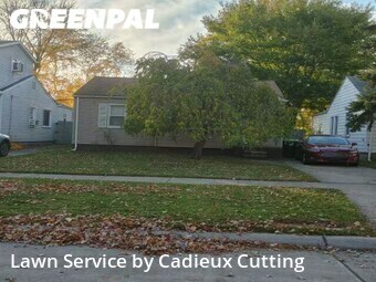 Yard Mowing nearby Madison Heights , MI, 