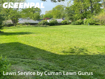 Grass Cut nearby Belleville, IL, 