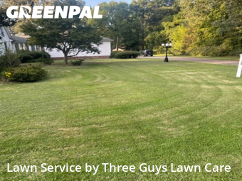 Lawn Management in Millington, 38053, Weed Trimming by Three Guys Lawn Care, work completed in Nov , 2025