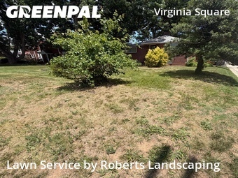 Lawn Cutting nearby Arlington, VA, 