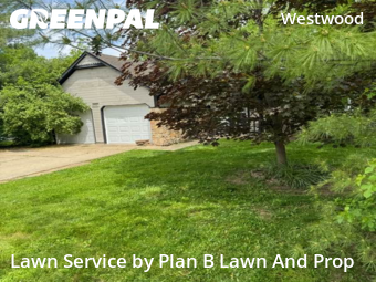 Lawn Cutting nearby Indianapolis, IN, 