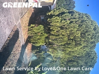 Yard Mowing nearby Orlando, FL, 