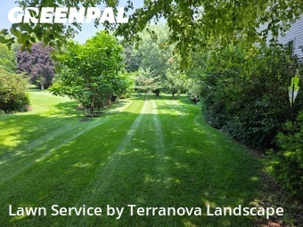 Yard Cutting nearby Sleepy Hollow, IL, 