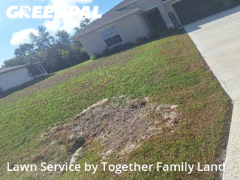 Lawn Upkeep in Port Charlotte, 33952, Garden Trimming by Together Family Land, work completed in Nov , 2025