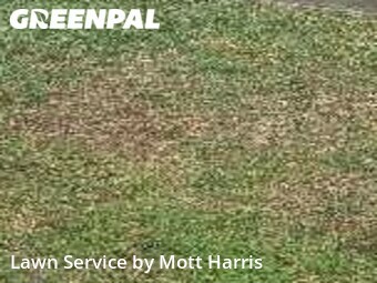 Grass Cutting nearby Fort Lauderdale, FL, 