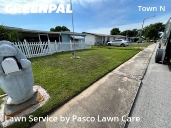 Lawn Mow nearby Tampa, FL, 