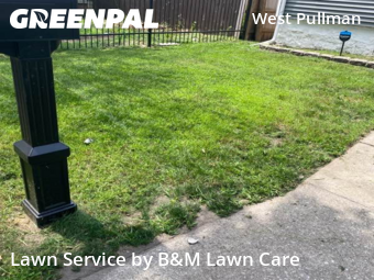 Yard Mowing nearby Chicago, IL, 