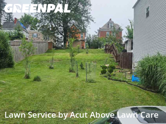 Grass Care in Ross Township, 15202, Lawn Management by Acut Above Lawn Care, work completed in Oct , 2025