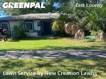 Lawn Mowing Service nearby Valrico, FL, 