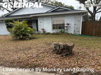 Lawn Service nearby St. Petersburg, FL, 