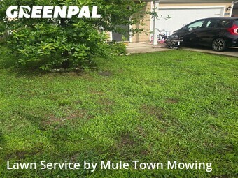 Grass Cut nearby Columbia, TN, 