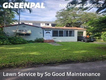 Yard Mowing nearby Miami, FL, 