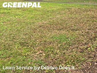 Lawn Cut nearby Portsmouth, VA, 