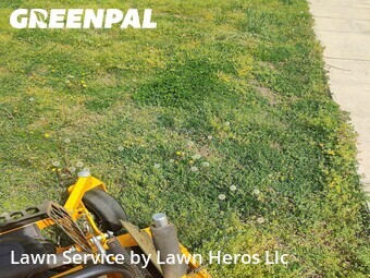 Landscaping Renovation In Greensboro,27409,Landscaping Maintenance by Lawn Heros Llc , work completed in Apr , 2026