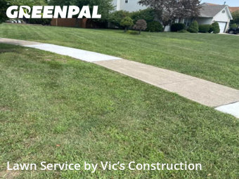 Lawn Mowing in Lockport, 60441, Backyard Mowing by Vic’s Construction , work completed in Nov , 2025