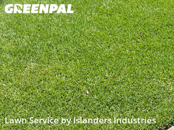 Lawn Mowing Service nearby Baton Rouge, LA, 