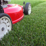 affordable-grass-cutting-businesses-in-Waco-TX