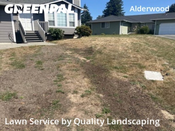 Yard Care Services in Lynnwood, 98036, Lawn Maintenance by Quality Landscaping, work completed in Nov , 2025