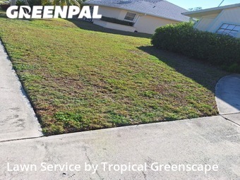 Lawn Mowing nearby Venice, FL, 