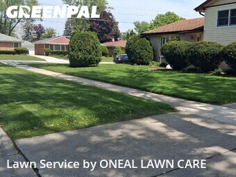 Yard Mowing nearby Des Plaines, IL, 