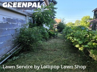 Grass Cut nearby Lima, OH, 