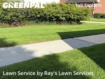Landscaping Renovation In New Orleans,70131,Landscaping Maintenance by Ray's Lawn Services, work completed in Jun , 2026