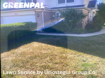 Grass Cut nearby Beach Park, IL, 