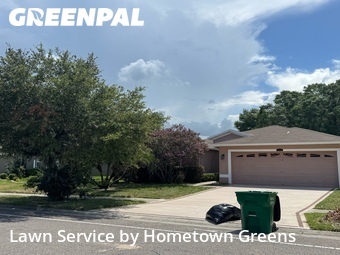 Grass Cut nearby Wesley Chapel, FL, 