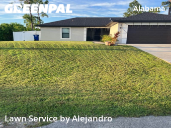 Grass Cut nearby Lehigh Acres, FL, 