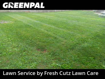 Grass Cut nearby Lebanon, OH, 
