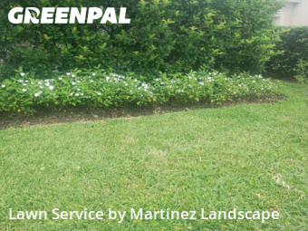 Lawn Work in Horizon West, 34786, Yard Upkeep by Martinez Landscape, work completed in Dec , 2025
