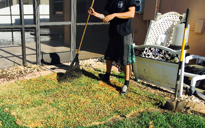Work Image 4