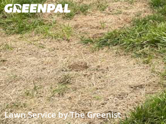 Lawn Mowing Service nearby Columbia, TN, 